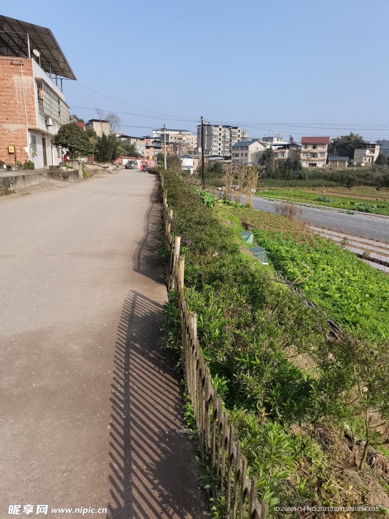 乡村风景