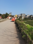 乡村风景