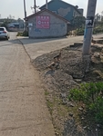 乡村鸭子