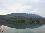 公园风景