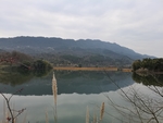 公园风景