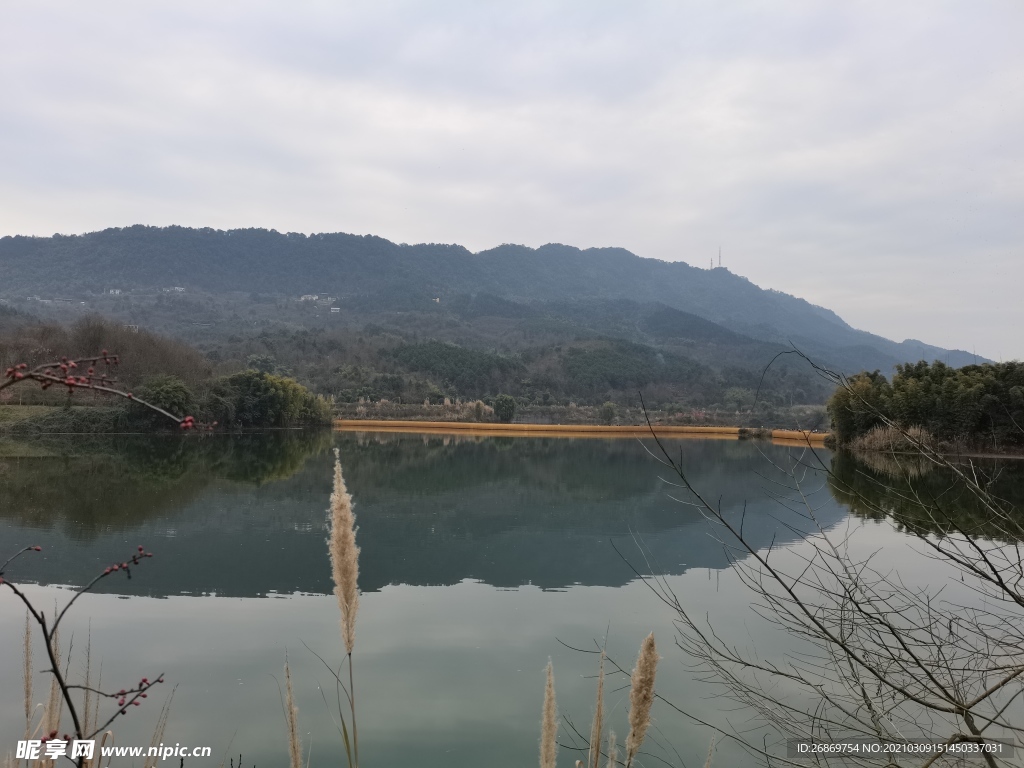 公园风景