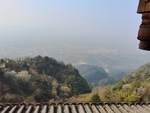 山顶风景