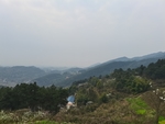 乡村风景