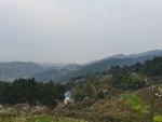 乡村风景