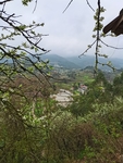 乡村风景