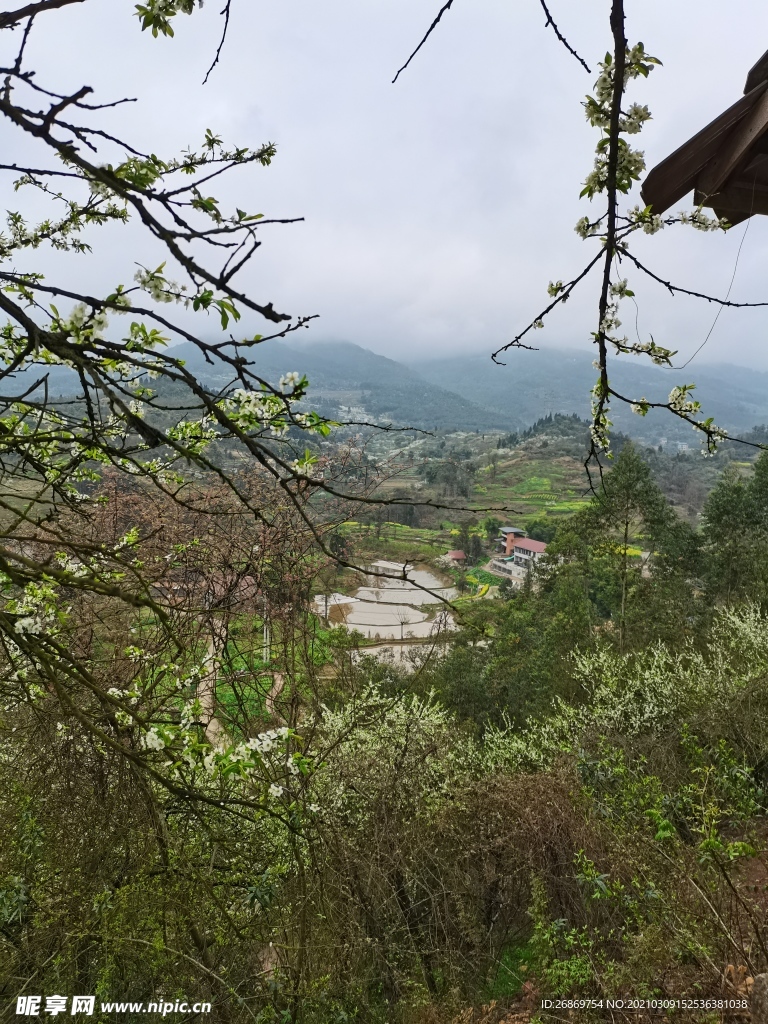乡村风景