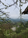 乡村风景