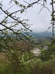 乡村风景