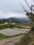 乡村风景