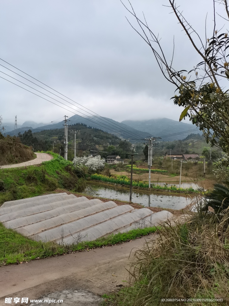 乡村风景