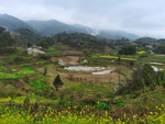 乡村风景