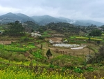 乡村风景
