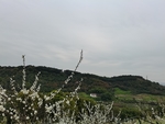 公园风景