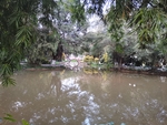 公园风景