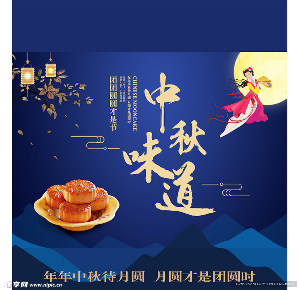 包装设计模板