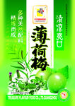 包装设计模板