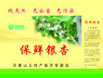 包装设计模板