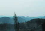 山
