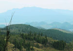 山