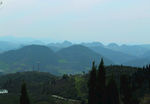 山