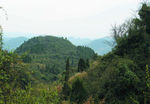 山