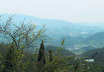 山