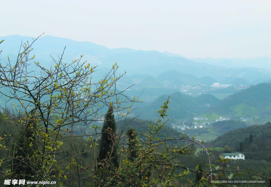 山