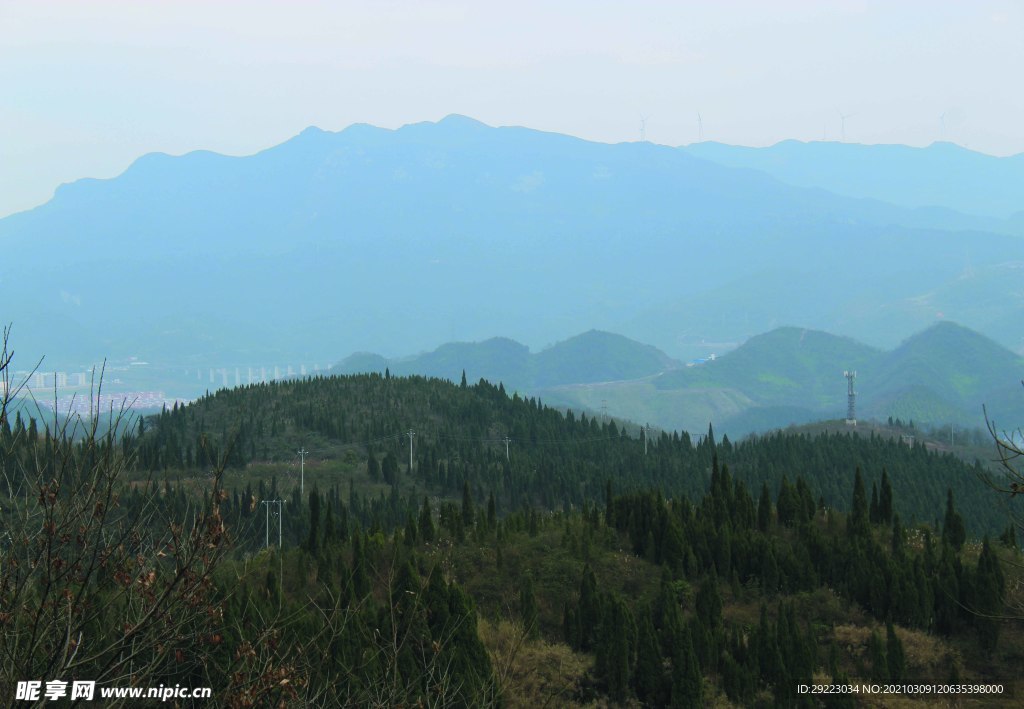 山