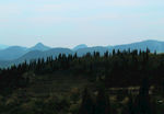 山