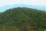 山