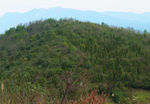 山