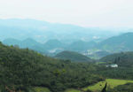 山