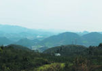 山