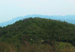山