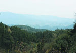 山