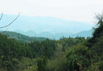 山