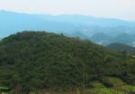 山