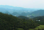 山