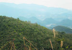 山