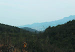山