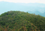 山