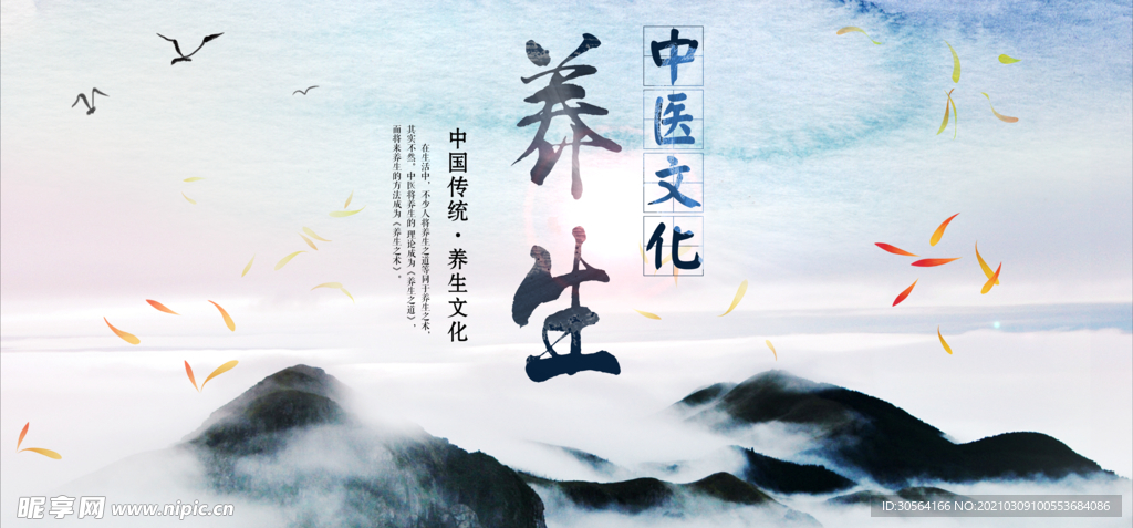 中医文化传统养生活动海报素材