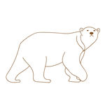 大白熊