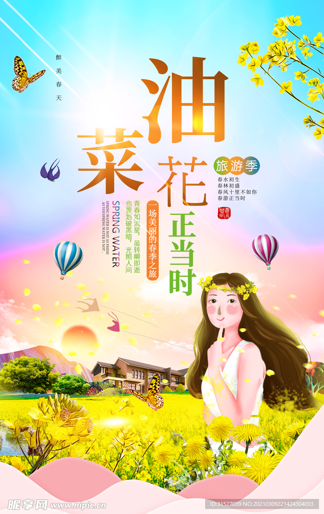 唯美赏油菜花插画