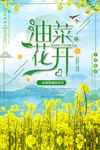 唯美油菜花开宣传海报