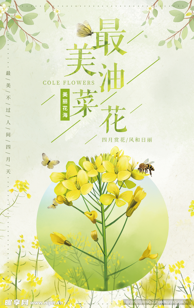 唯美最美油菜花宣传海报