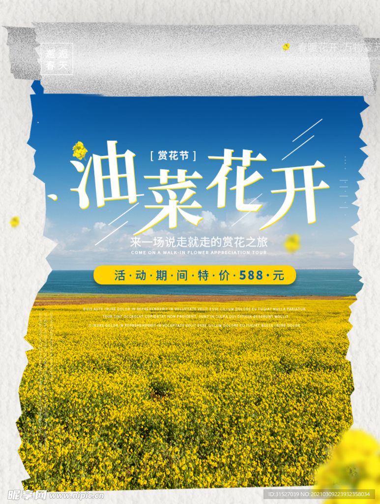 春夏油菜花风景海报背景素材图片