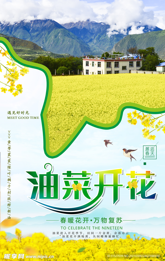 大气油菜花宣传海报