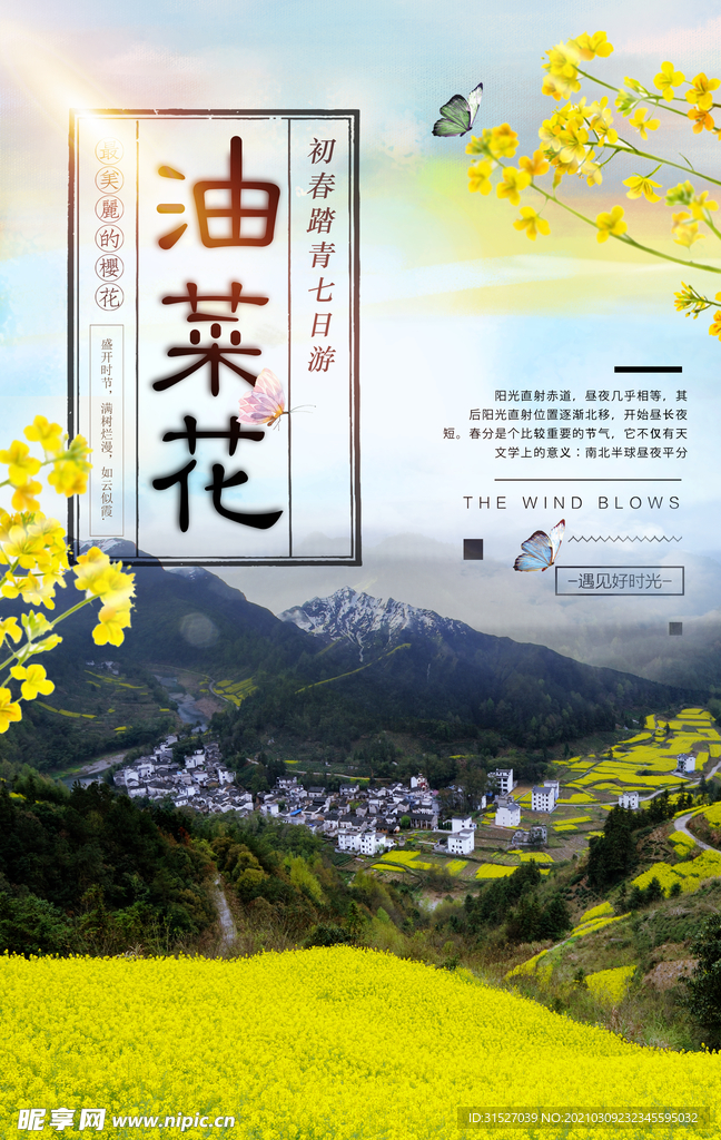 踏青旅游油菜花海报模版